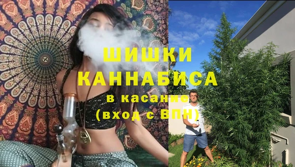 крисы Балахна