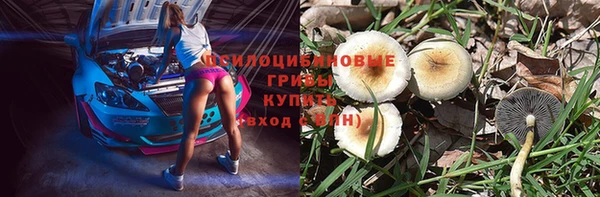 apvp Баксан