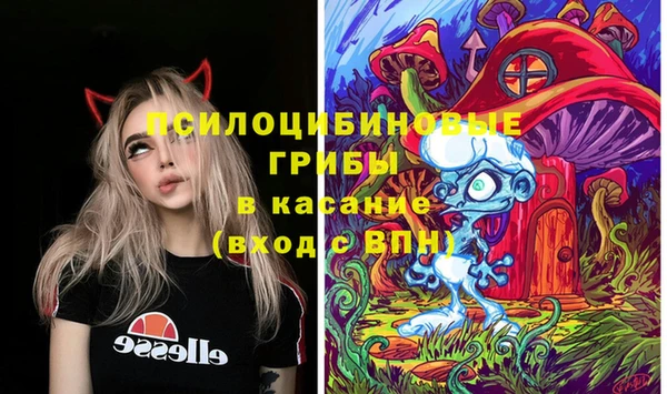 крисы Балахна